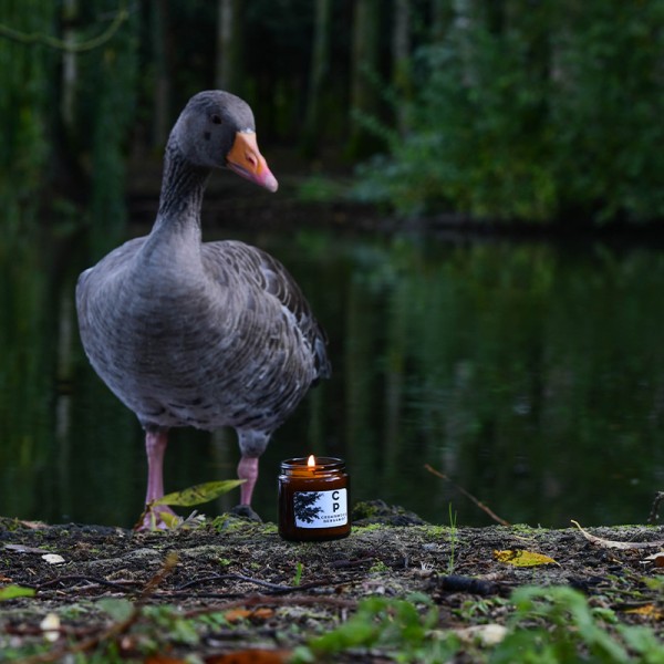 Candles - Image 6