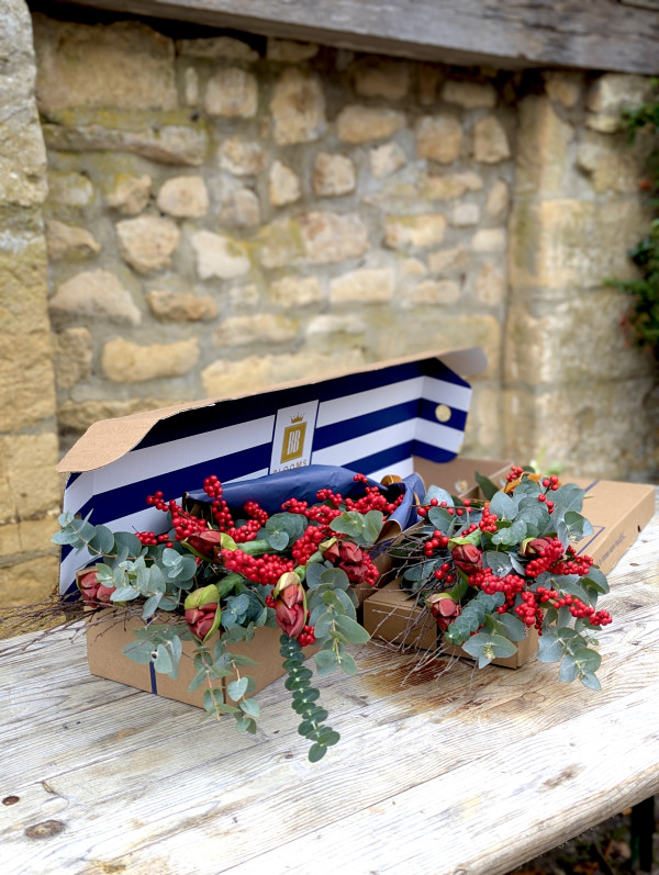 Box of Amaryllis - Image 3