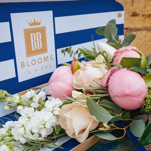 Christmas Blooms in a Box - Image 3