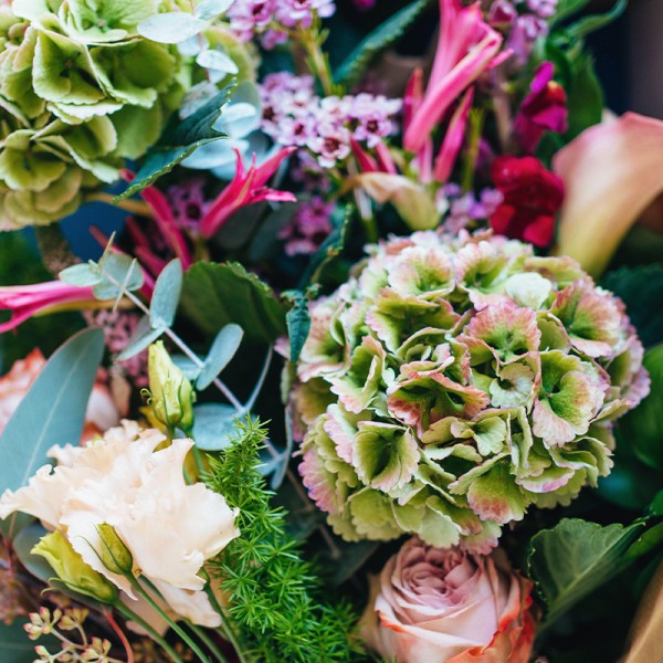Christmas Blooms in a Box