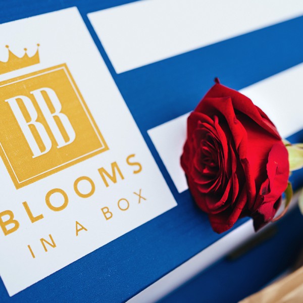 Valentine's Blooms in a Box (inc. 1 Red Rose) - Image 5