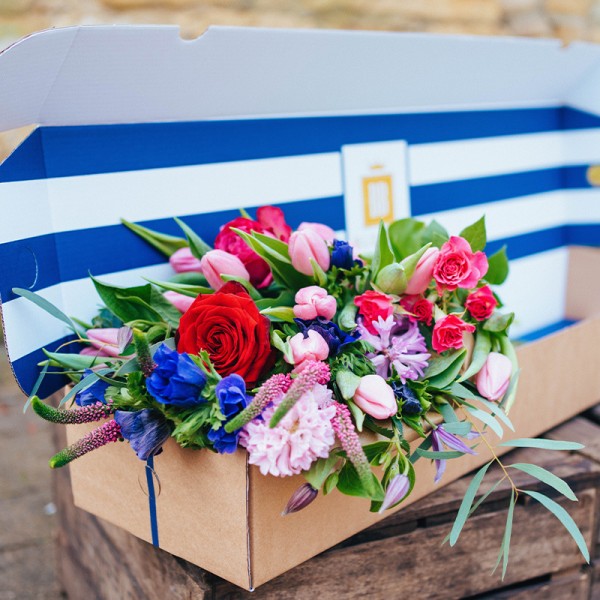 Valentine's Blooms in a Box (inc. 1 Red Rose) - Image 3